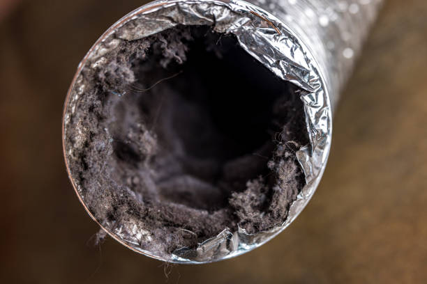 Best Ductwork Cleaning Services  in Livonia, LA