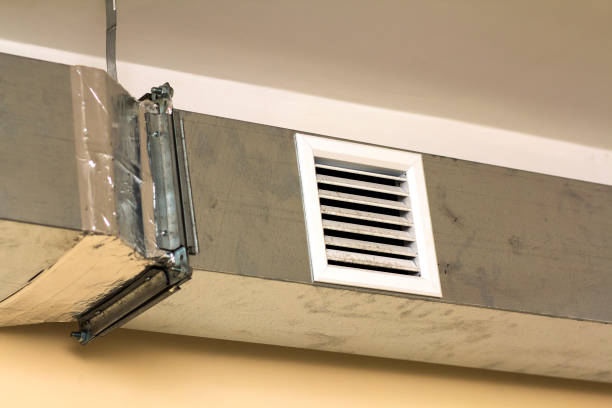 Best Air Duct Cleaning Near Me  in Livonia, LA